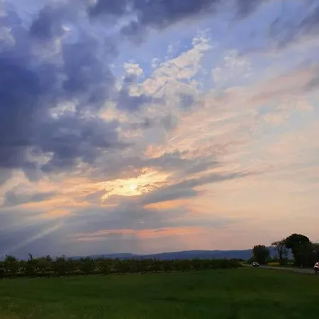 Ruhige Am Rande Des Naturschutzgebietes شقة