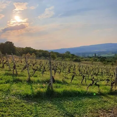 Ruhige Am Rande Des Naturschutzgebietes شقة