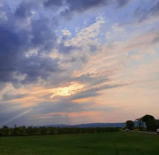 Ruhige Am Rande Des Naturschutzgebietes شقة